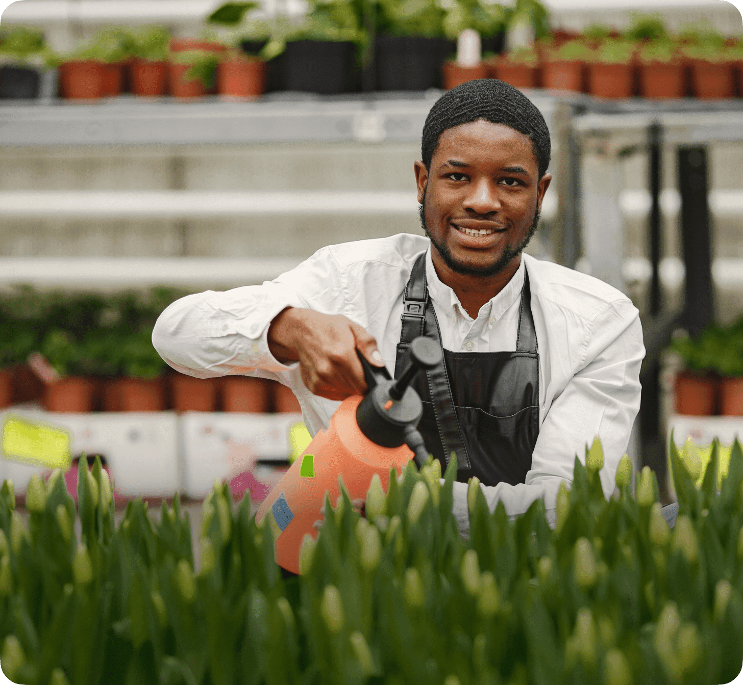 The Future of Food Security: SAPZ's Impact in Kwara State
