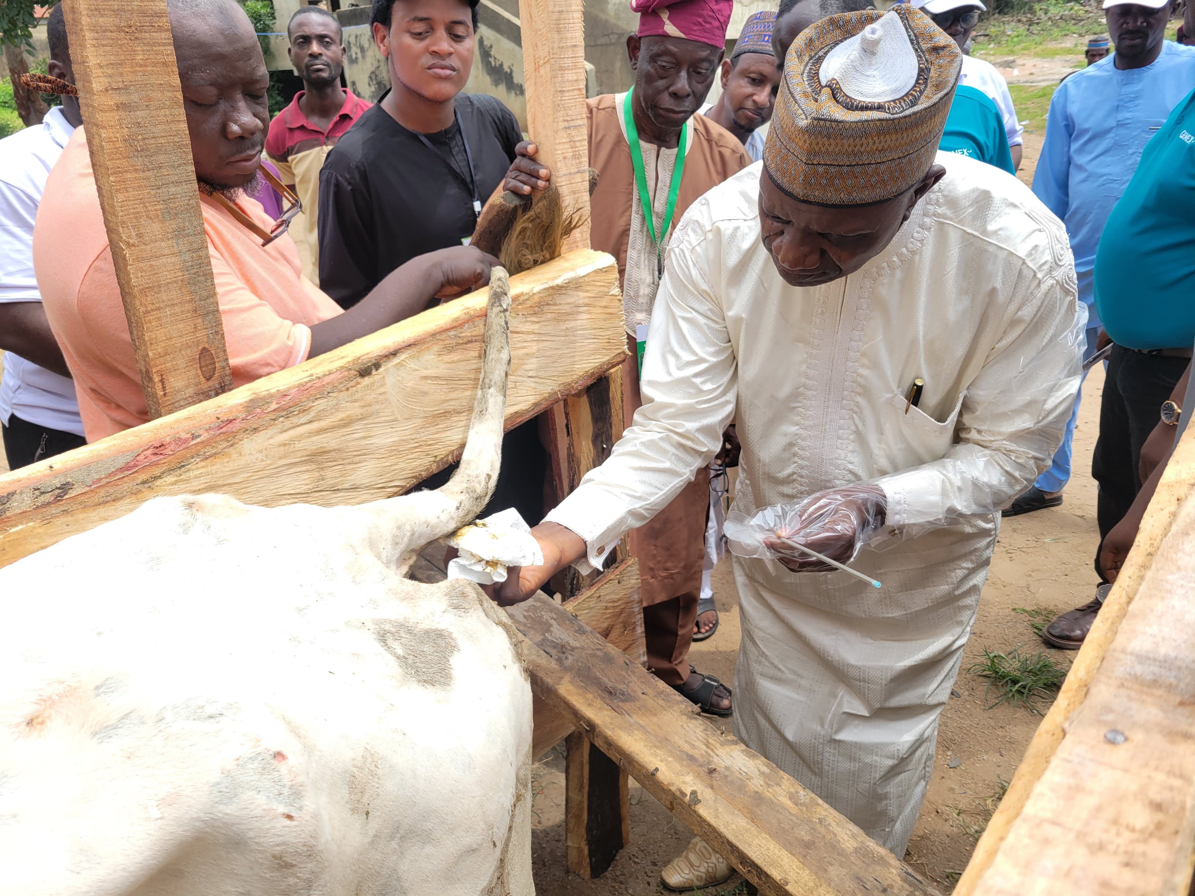 Kwara SAPZ: Govt. Trains Pastoralists on Artificial Insemination, Improved Cattle Breed Management to Maximise Milk, Meat Productivity