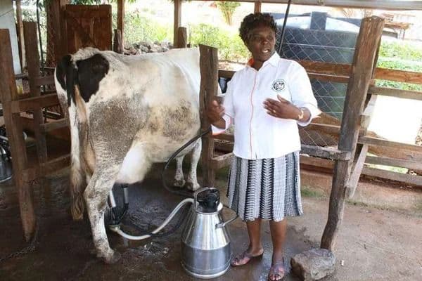 Dairy Tech & Agri-Business MSME Training