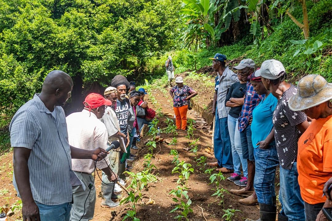 Farmer Training on Seeds, CPPs & Fertilizers